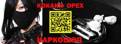 стаф Сланцы