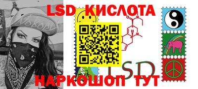 стаф Сланцы
