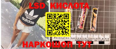 стаф Сланцы