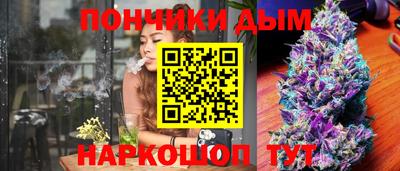 стаф Сланцы