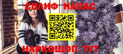 стаф Сланцы