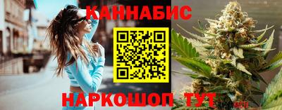 стаф Сланцы