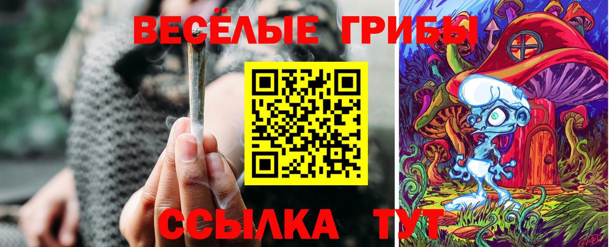 Псилоцибиновые грибы Cubensis  Вход с VPN  Острогожск 